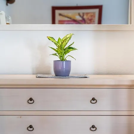 Apartman Sa Domu De Jana